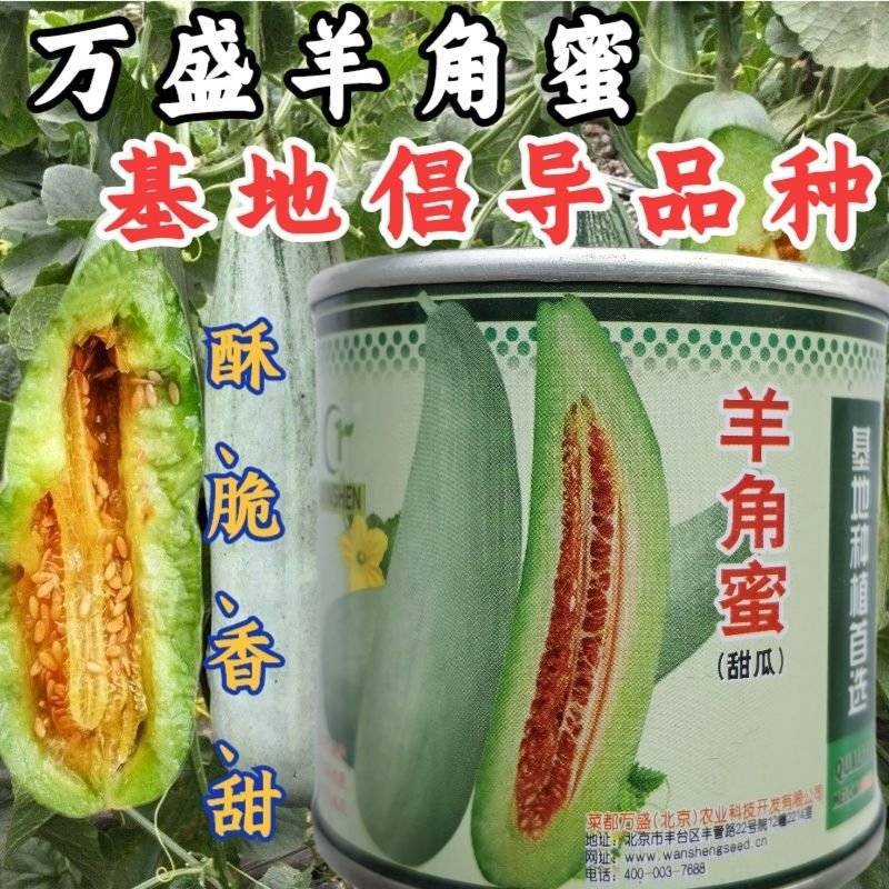 【高品质】万盛羊角蜜甜瓜种子高甜酥脆香甜羊角酥甜瓜种子