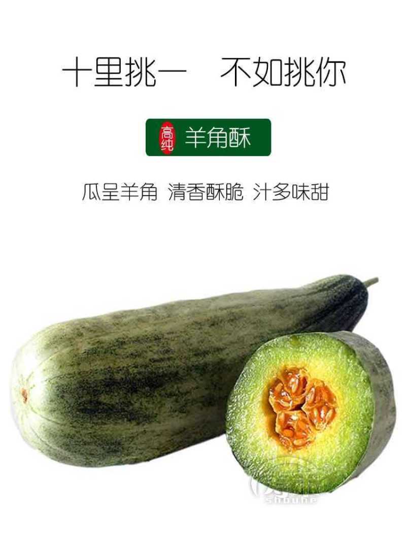 【高品质】万盛羊角蜜甜瓜种子高甜酥脆香甜羊角酥甜瓜种子