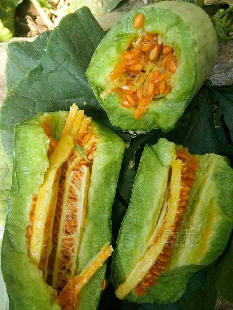 【高品质】万盛羊角蜜甜瓜种子高甜酥脆香甜羊角酥甜瓜种子