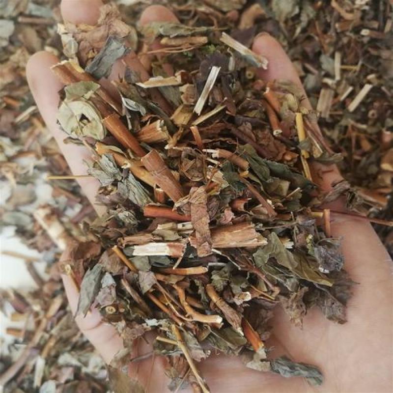 元宝草，中药材元宝草片质量保证经营各种中药材欢迎咨询选购