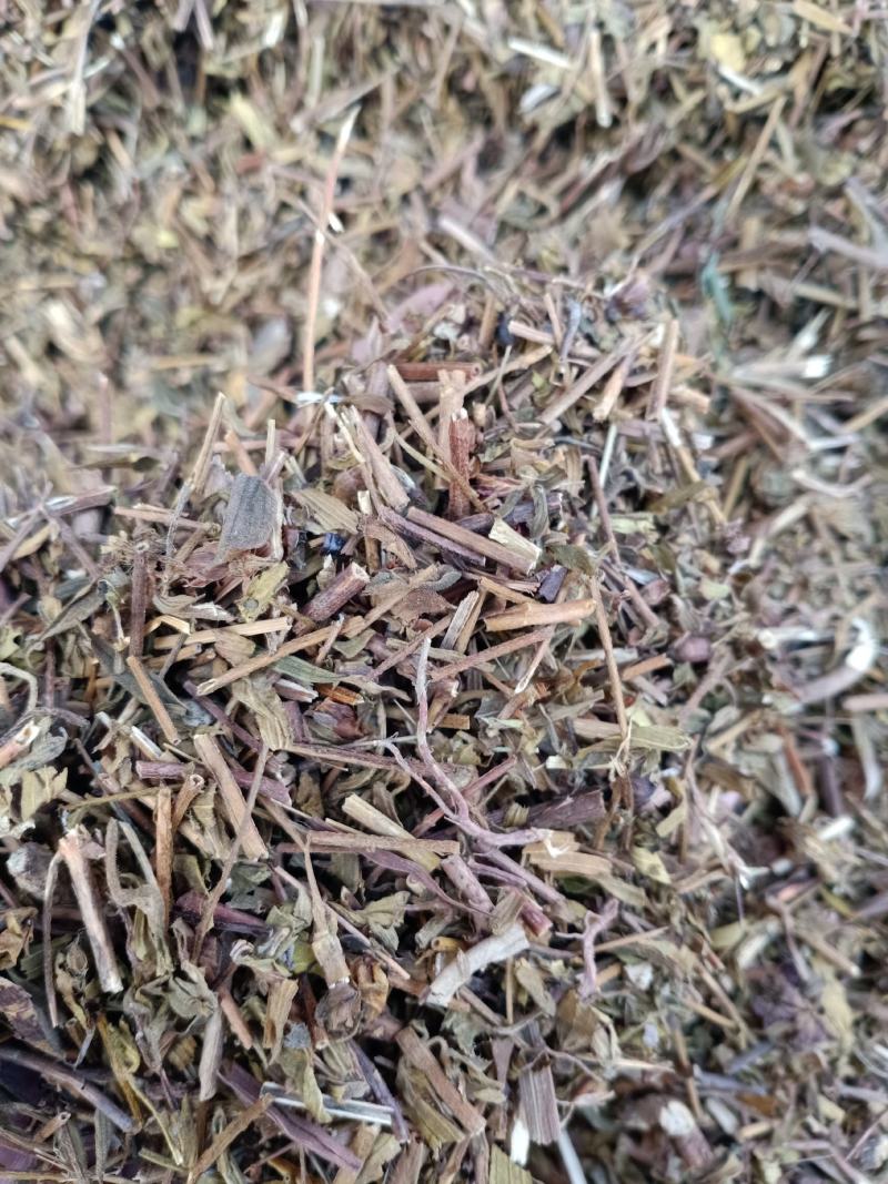 元宝草，中药材元宝草片质量保证经营各种中药材欢迎咨询选购