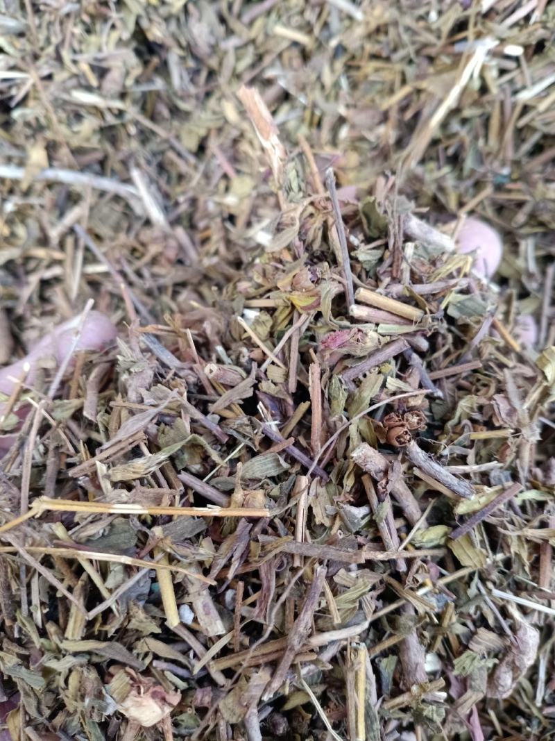 元宝草，中药材元宝草片质量保证经营各种中药材欢迎咨询选购