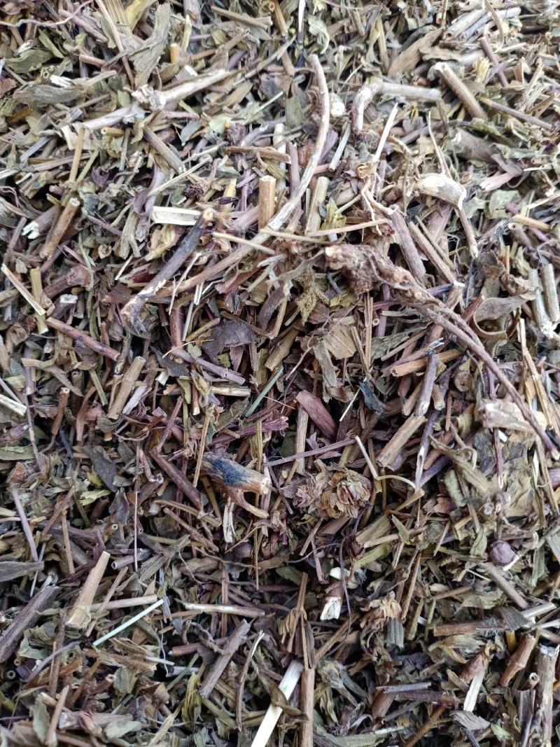 元宝草，中药材元宝草片质量保证经营各种中药材欢迎咨询选购