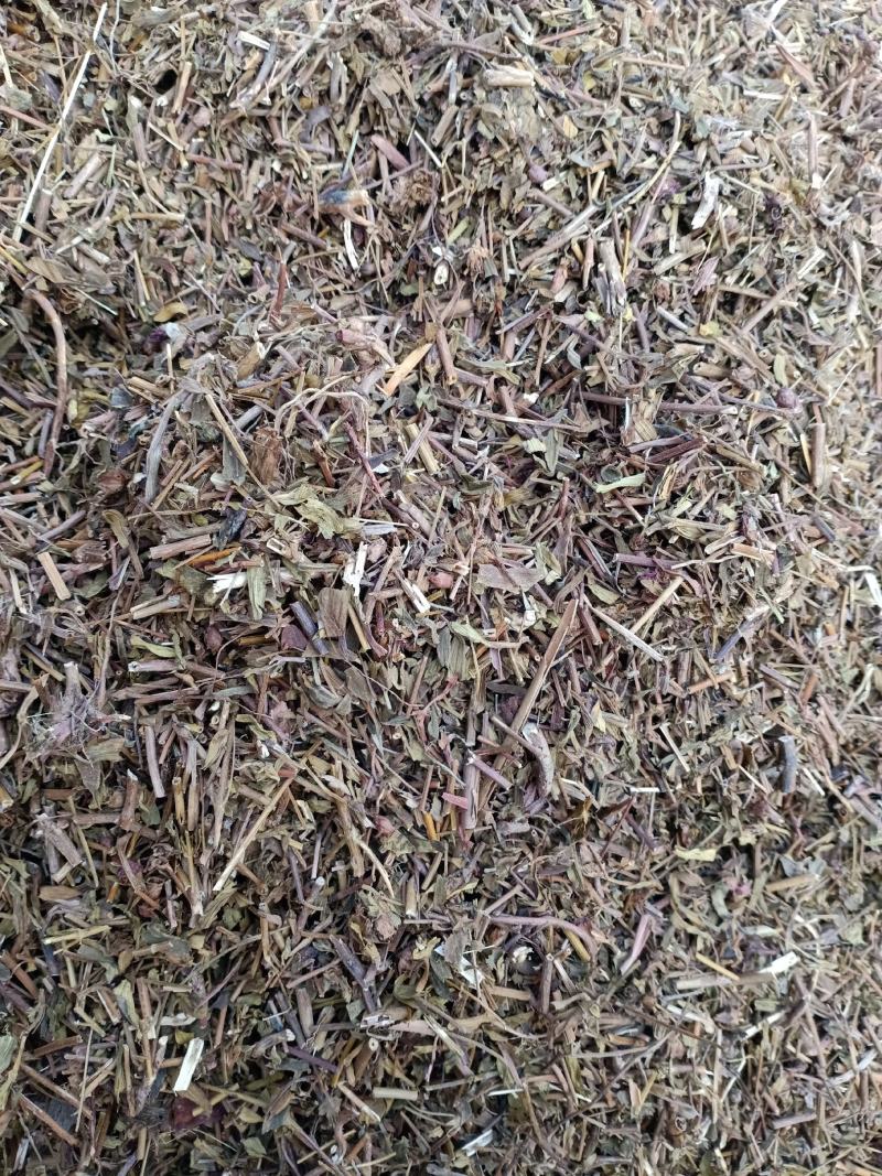 元宝草，中药材元宝草片质量保证经营各种中药材欢迎咨询选购
