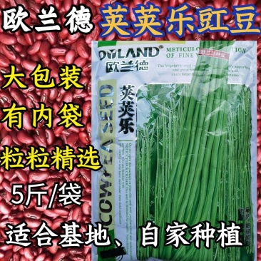 【5斤装】大包装荚荚乐豇豆种子早熟嫩绿耐低温抗病高产