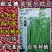 【5斤装】大包装荚荚乐豇豆种子早熟嫩绿耐低温抗病高产