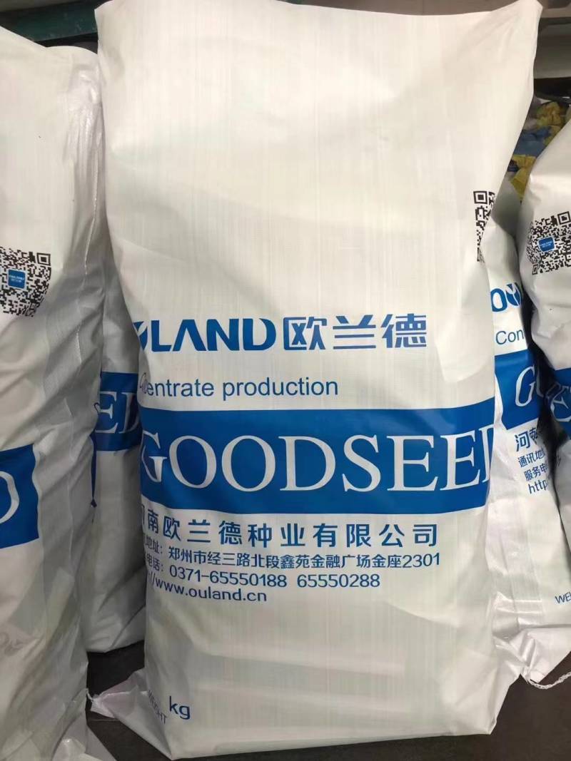 【5斤装】大包装荚荚乐豇豆种子早熟嫩绿耐低温抗病高产
