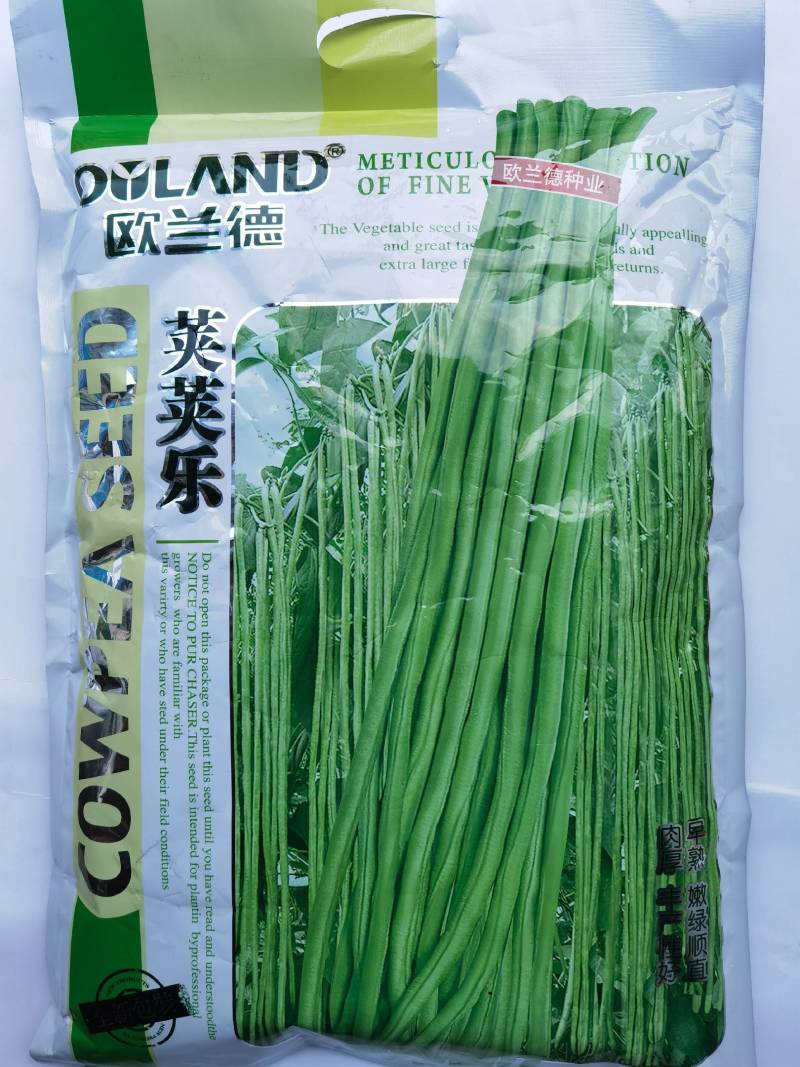 【5斤装】大包装荚荚乐豇豆种子早熟嫩绿耐低温抗病高产