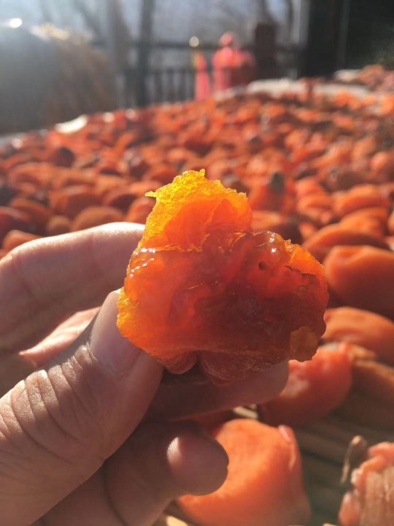 【牛商推荐】吊柿饼非富平柿饼山东，大量出货