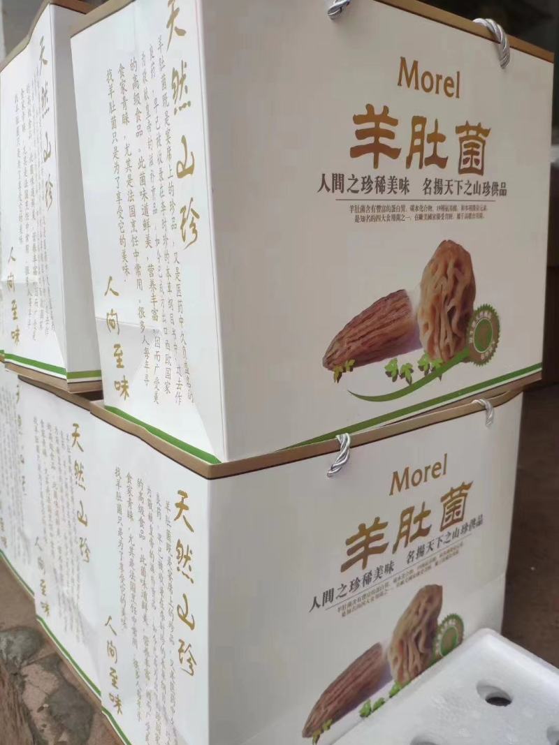 新鲜羊肚菌一公斤顺丰包邮欢迎代理一件代发新鲜菌菇