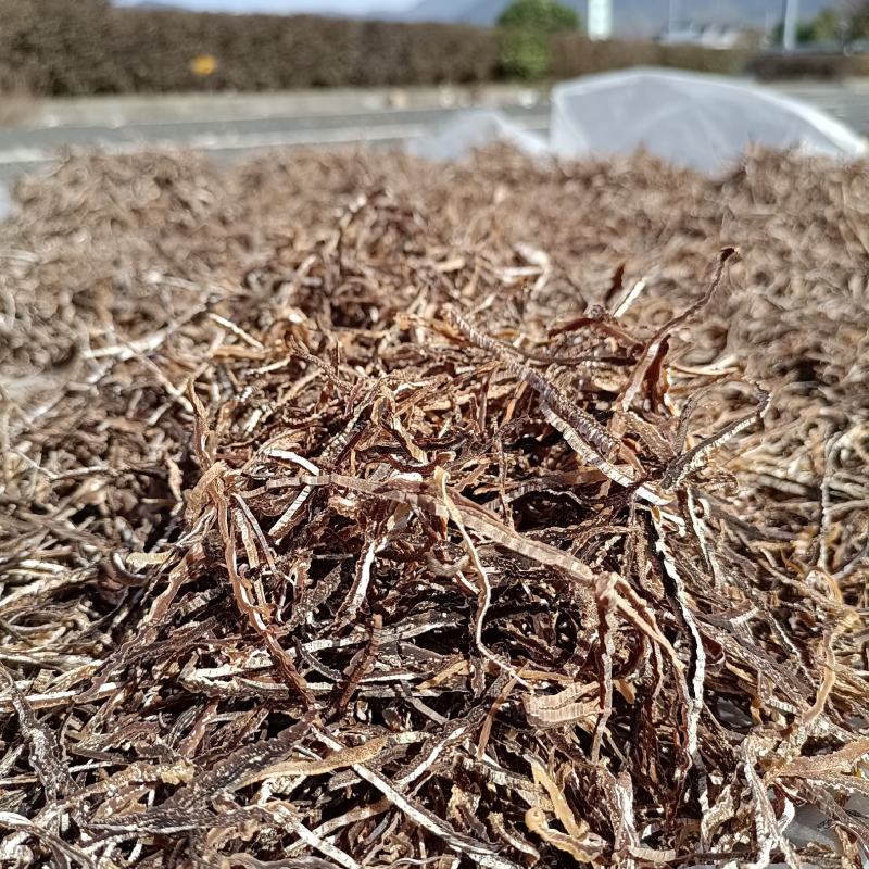 黄山炭火竹笋丝