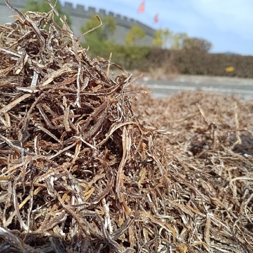 黄山炭火竹笋丝