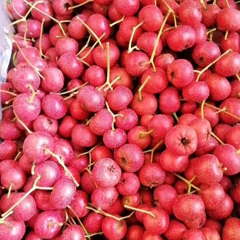 【热销】精品甜红子山楂口感好颜色红品质保证欢迎
