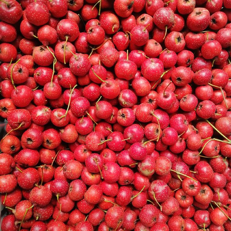 【热销】精品甜红子山楂口感好颜色红品质保证欢迎