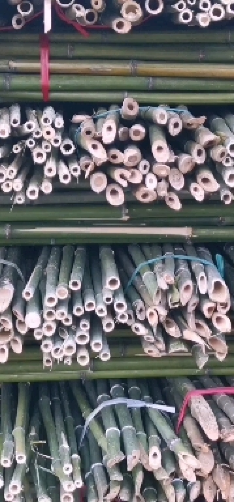 产地精选优质菜架竹，药架竹，豆架等果蔬药等作物支撑杆竹子