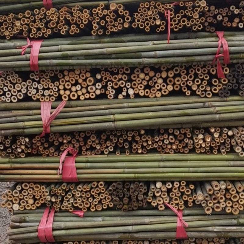 产地精选优质菜架竹，药架竹，豆架等果蔬药等作物支撑杆竹子