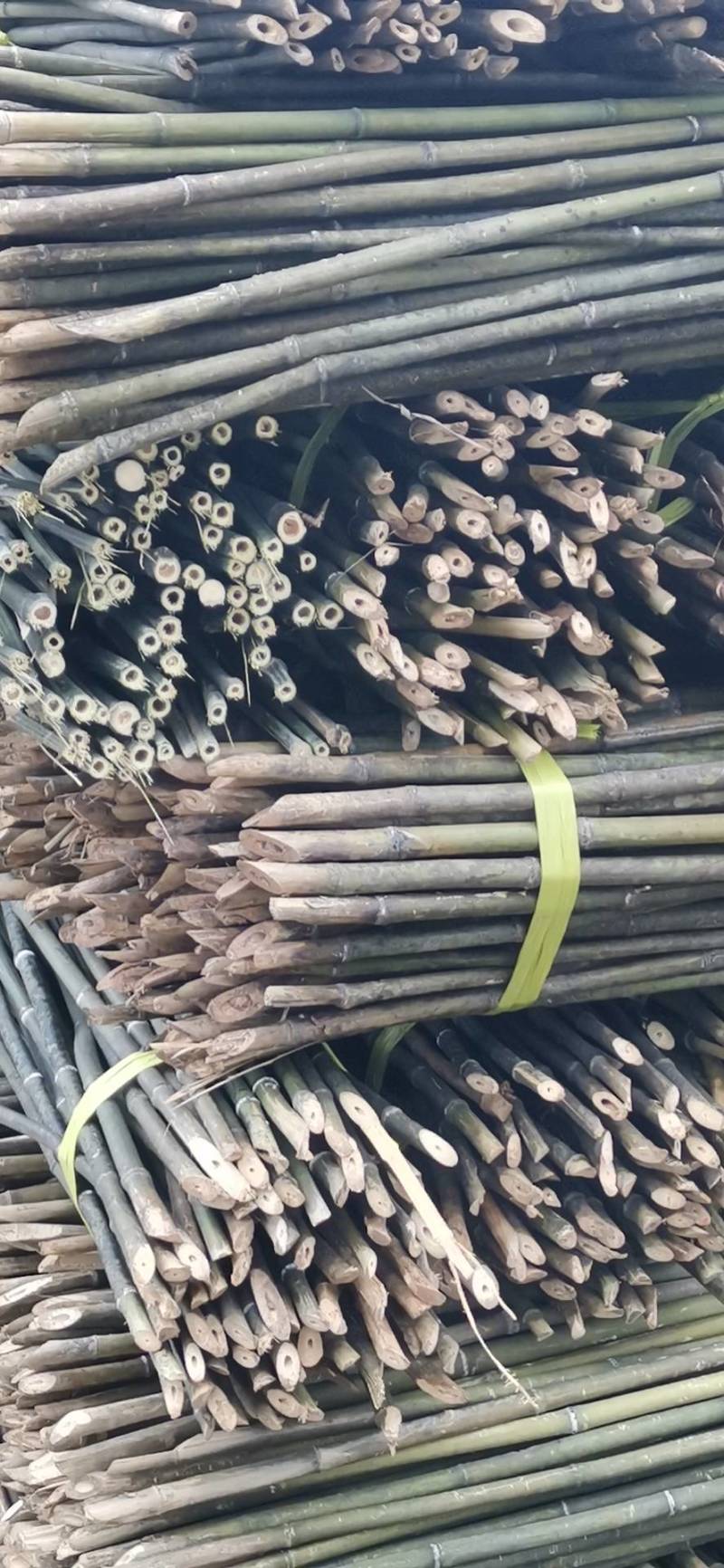 产地精选优质菜架竹，药架竹，豆架等果蔬药等作物支撑杆竹子