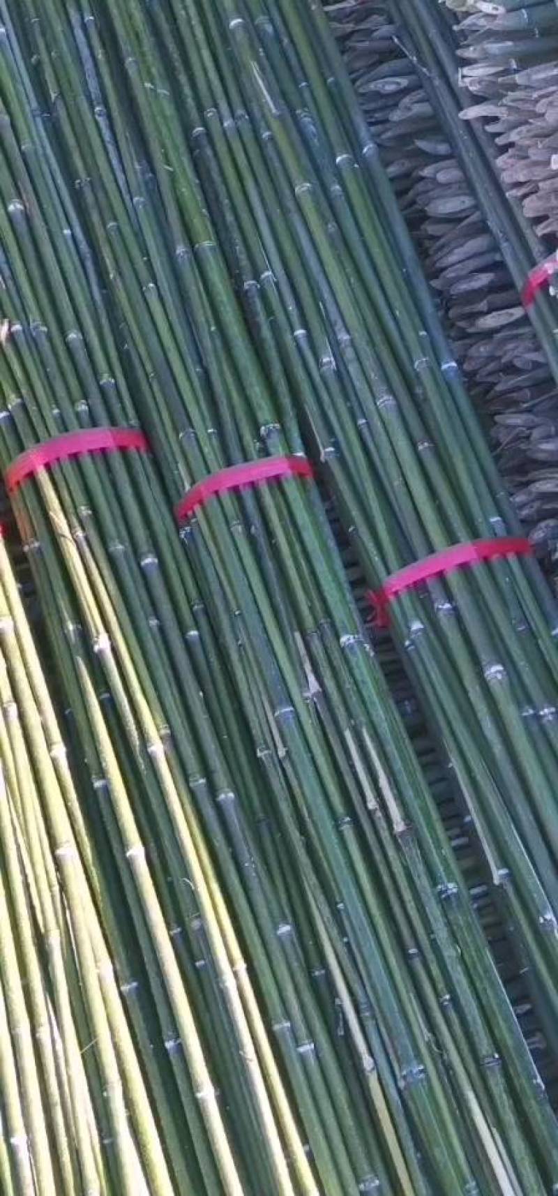 产地精选优质菜架竹，药架竹，豆架等果蔬药等作物支撑杆竹子