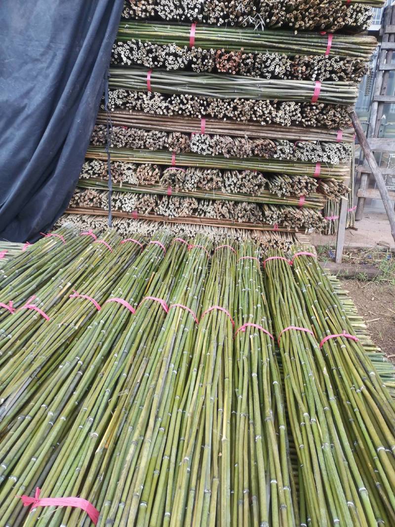 产地精选优质菜架竹，药架竹，豆架等果蔬药等作物支撑杆竹子