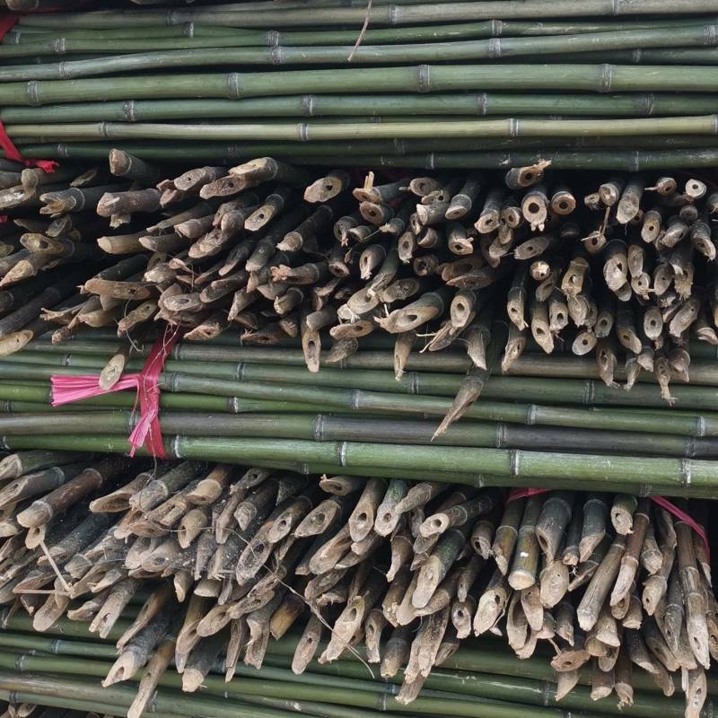 产地精选优质菜架竹，药架竹，豆架等果蔬药等作物支撑杆竹子