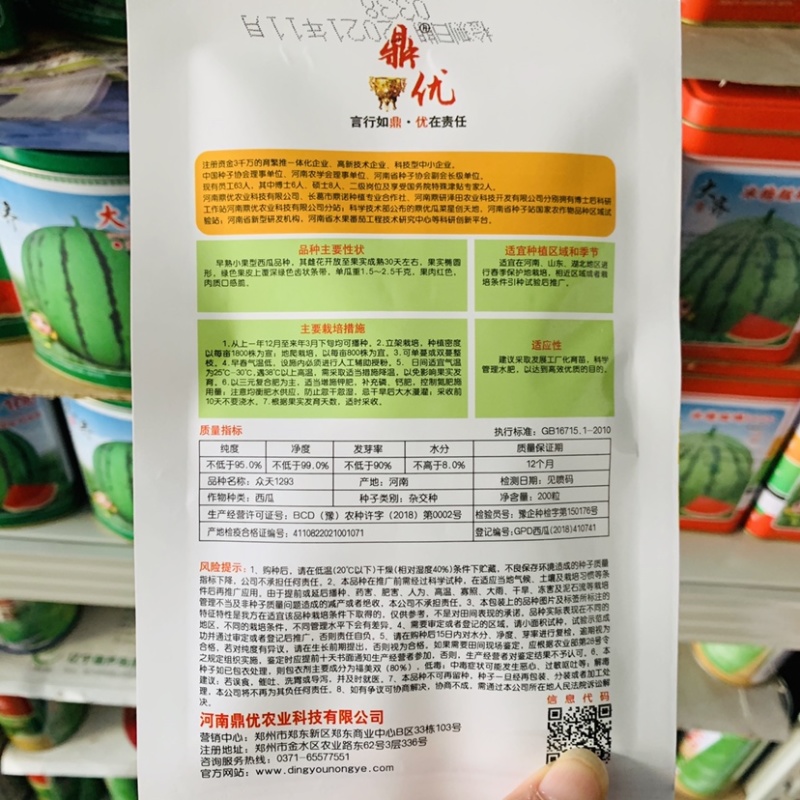 早熟小果型礼品西瓜种子椭圆形果肉红色小西瓜种籽耐低温