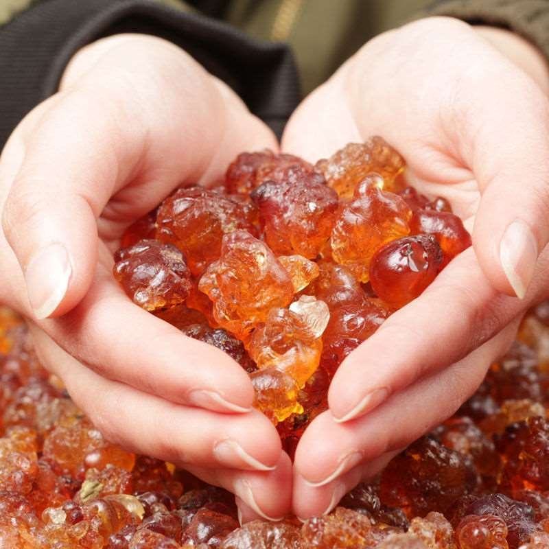 云南天然野生桃胶特级桃树胶云南天然野生桃胶特级桃树胶云南