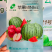 苹果MINI西瓜早熟高档礼品小西瓜种子皮薄脆甜爽口红瓤