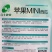 苹果MINI西瓜早熟高档礼品小西瓜种子皮薄脆甜爽口红瓤