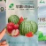 苹果MINI西瓜早熟高档礼品小西瓜种子皮薄脆甜爽口红瓤
