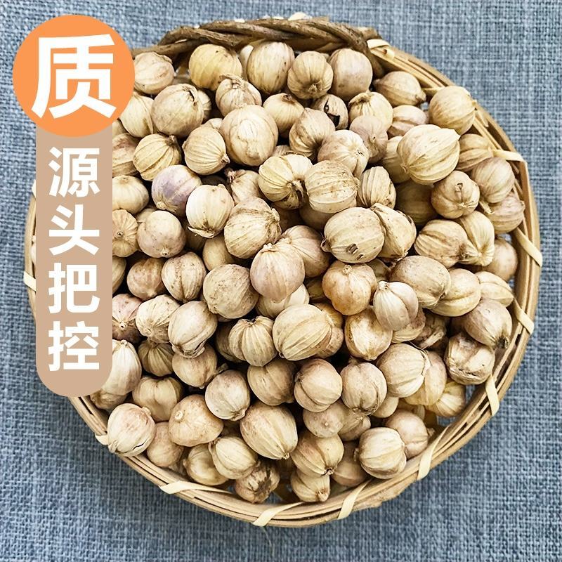 白蔻白扣白豆蔻无硫原装全干香料火锅烧肉卤