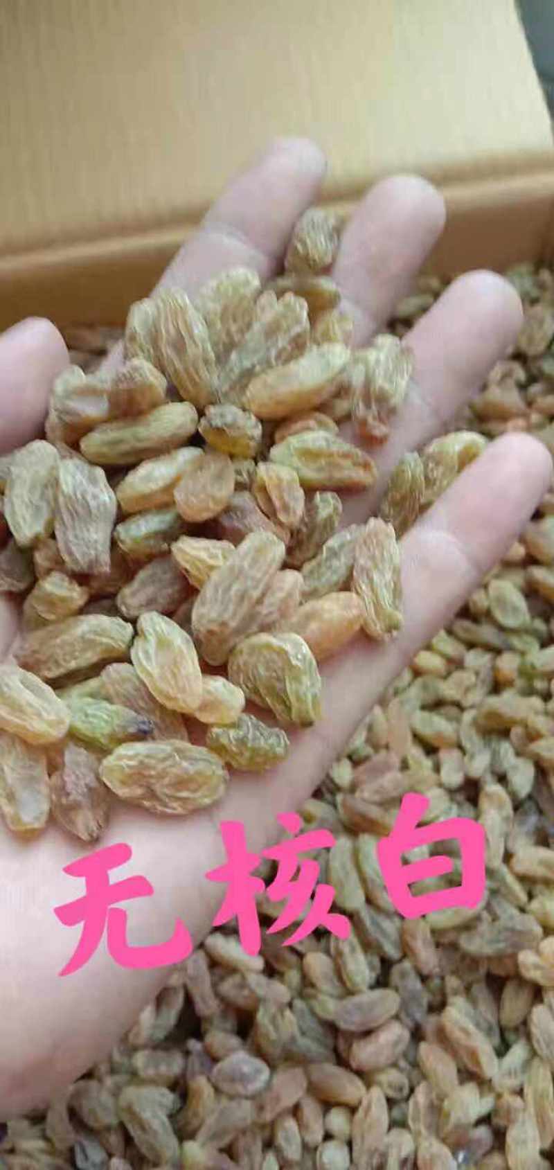 新疆特产吐鲁番葡萄干无核白葡萄干