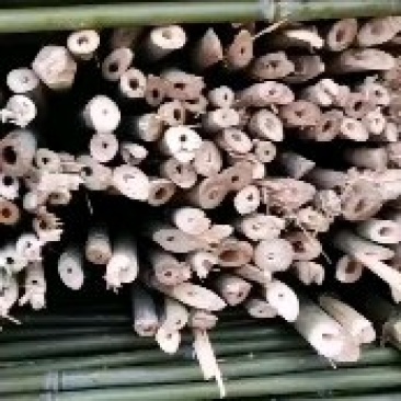 河南濮阳范县竹竿批发市场