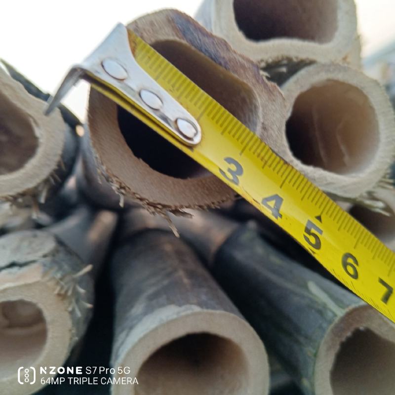 河南濮阳范县竹竿批发市场