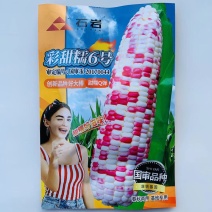 甜彩甜糯6号，糯玉米种子