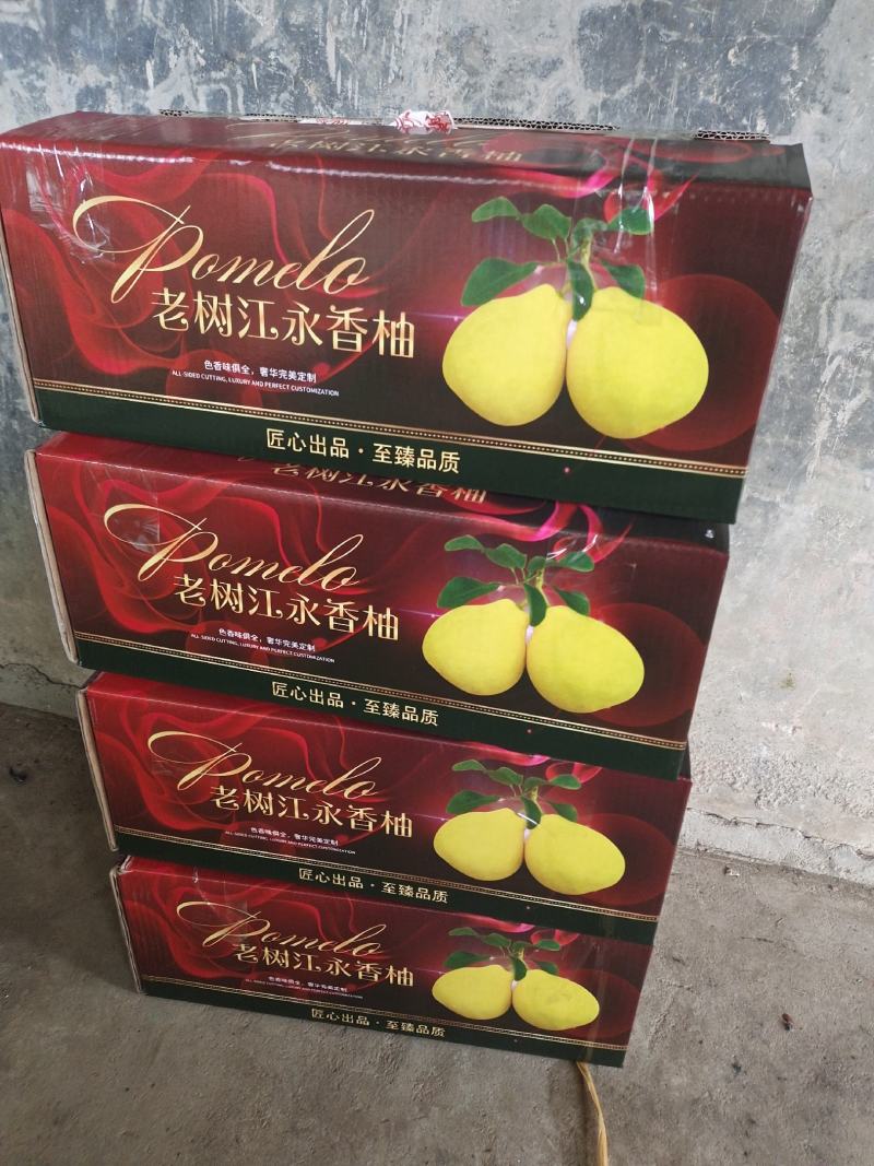 香柚