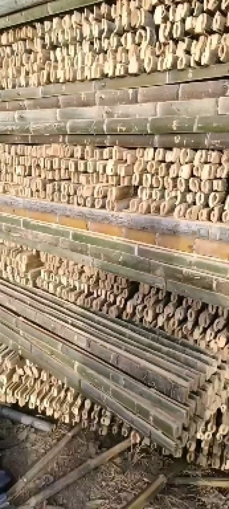 河南濮阳范县竹竿批发市场