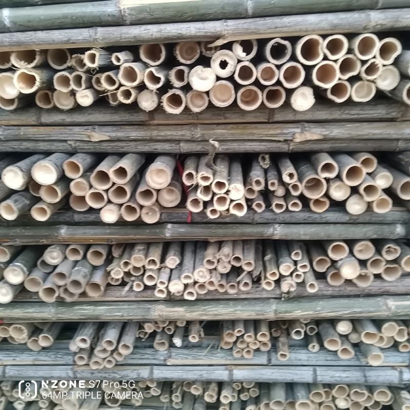 河南濮阳范县竹竿批发市场