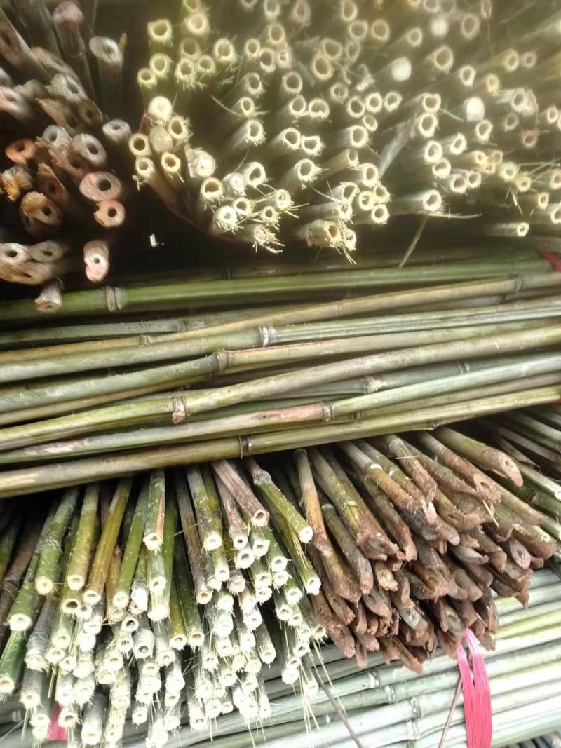 河南濮阳范县竹竿批发市场