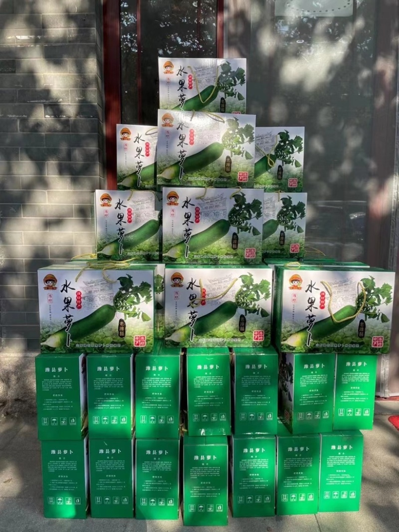 潍县萝卜，大面积种植，人工免费，食宿免费