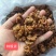 琥珀核桃仁芝麻琥珀核桃仁蜂蜜琥珀核桃仁产地直发！！