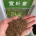 宽叶草种宽叶种子宽叶草护坡种子耐盐碱雀叶稗种子