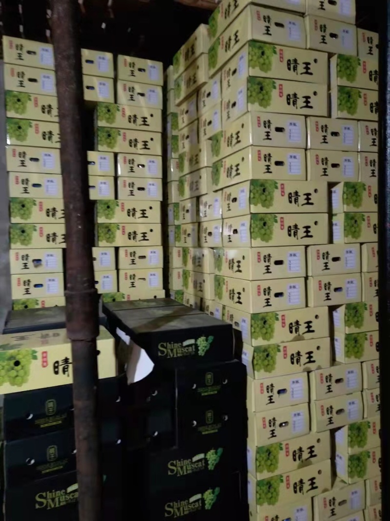 葡萄，阳光玫瑰，巨峰，等多个品种口感好