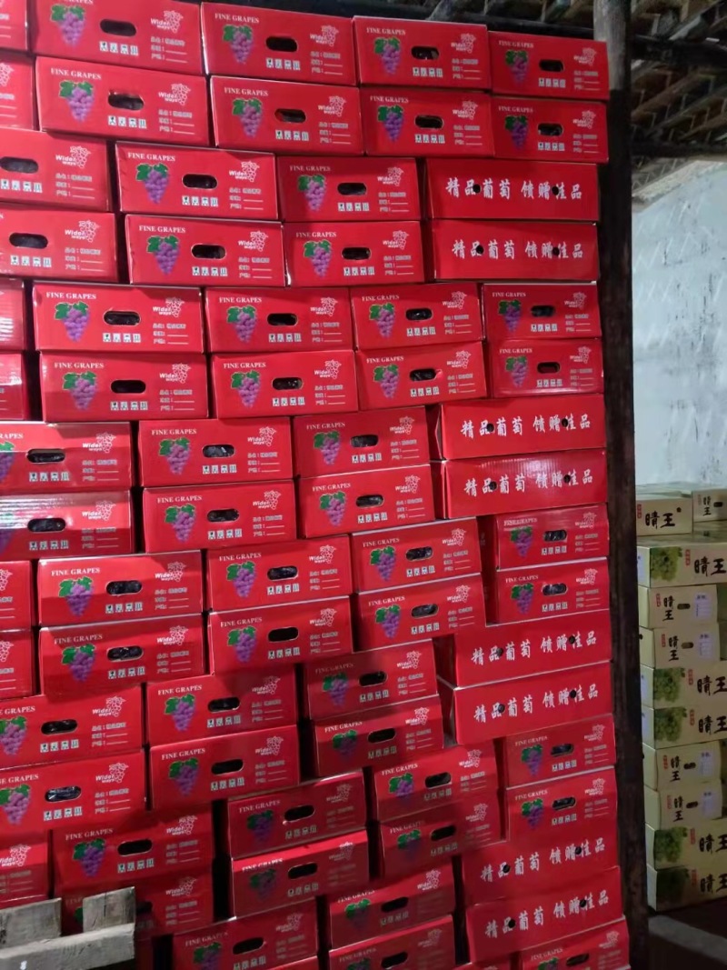葡萄，阳光玫瑰，巨峰，等多个品种口感好