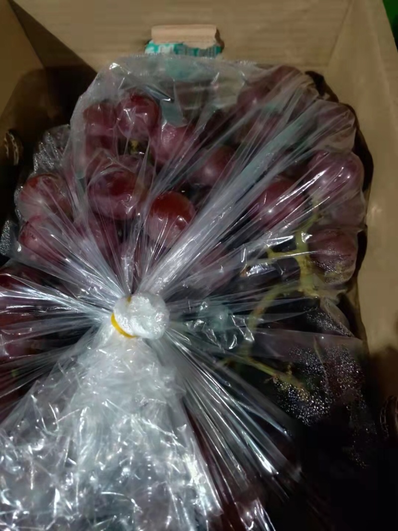 葡萄，阳光玫瑰，巨峰，等多个品种口感好
