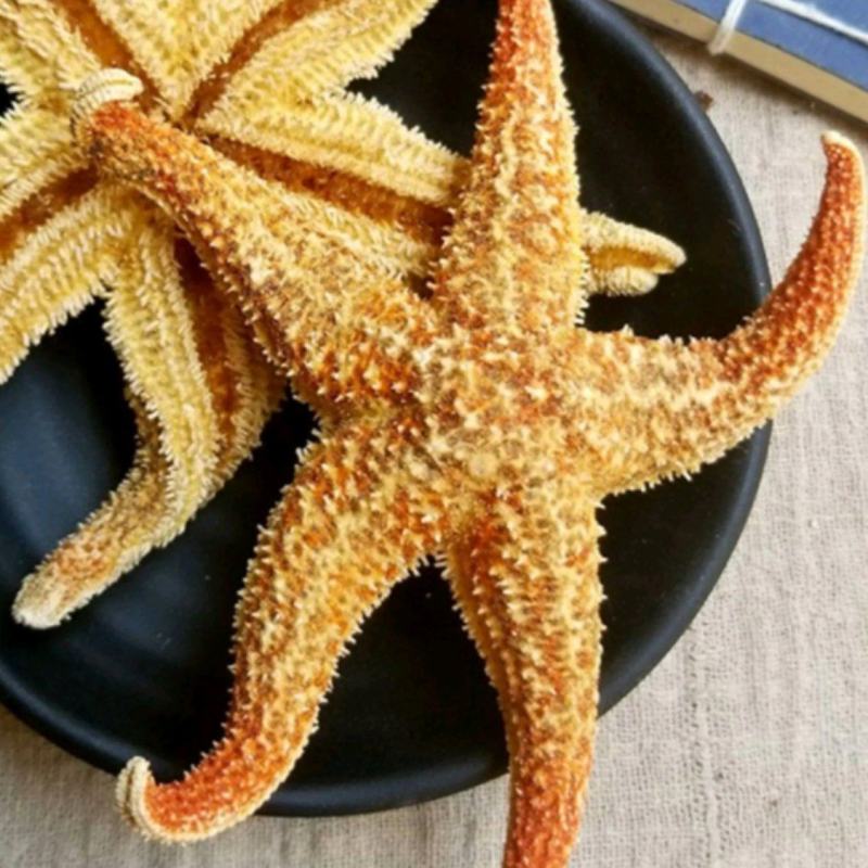 海星统装500g振兴药材购销站量大从优