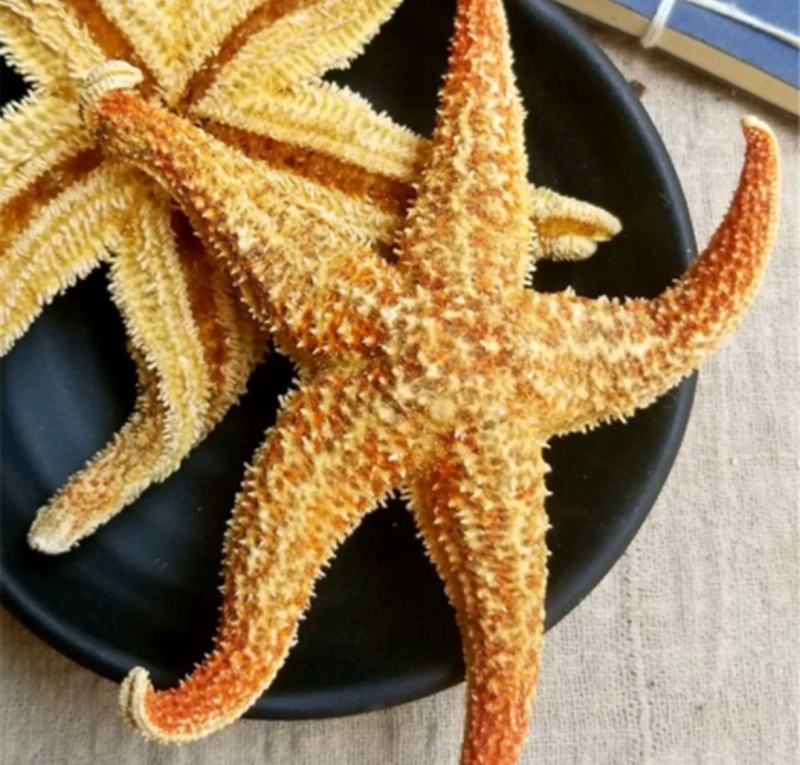 海星统装500g振兴药材购销站量大从优