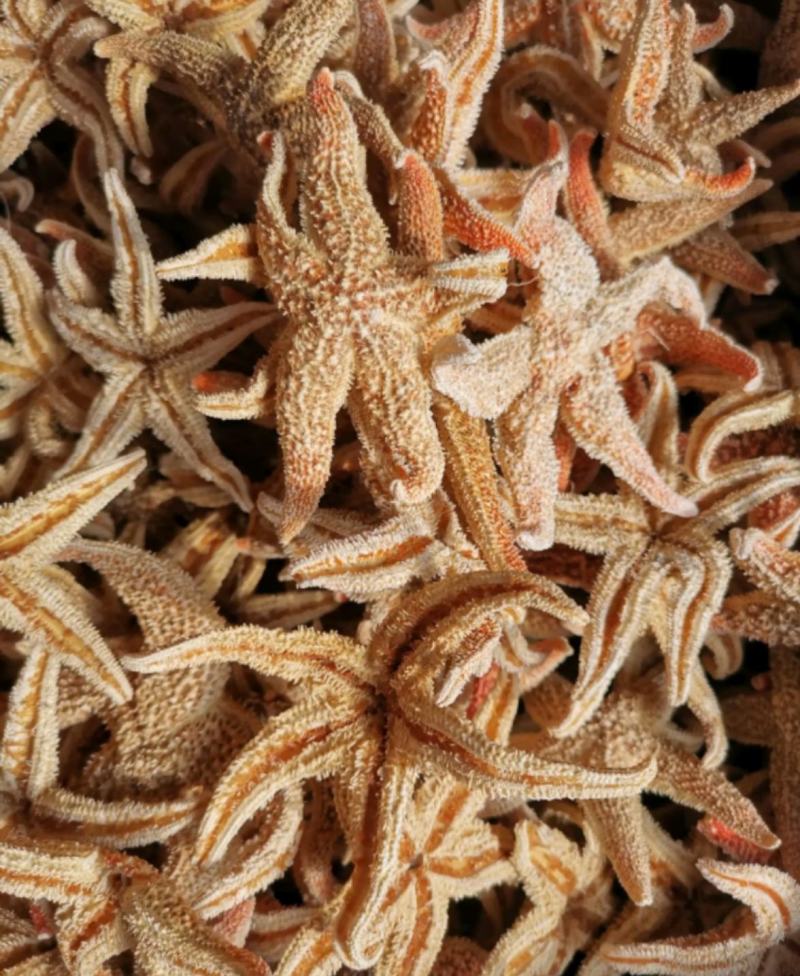 海星统装500g振兴药材购销站量大从优
