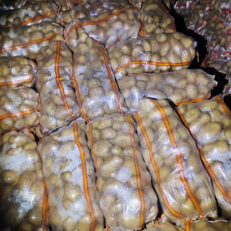 热卖精品土豆，产地大降价，质优价廉，专业土豆代办