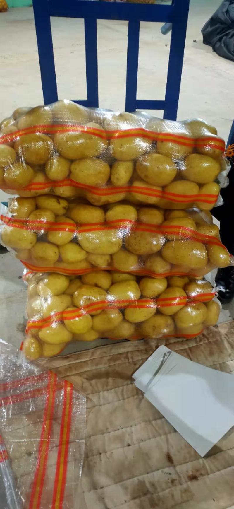 热卖精品土豆，产地大降价，质优价廉，专业土豆代办