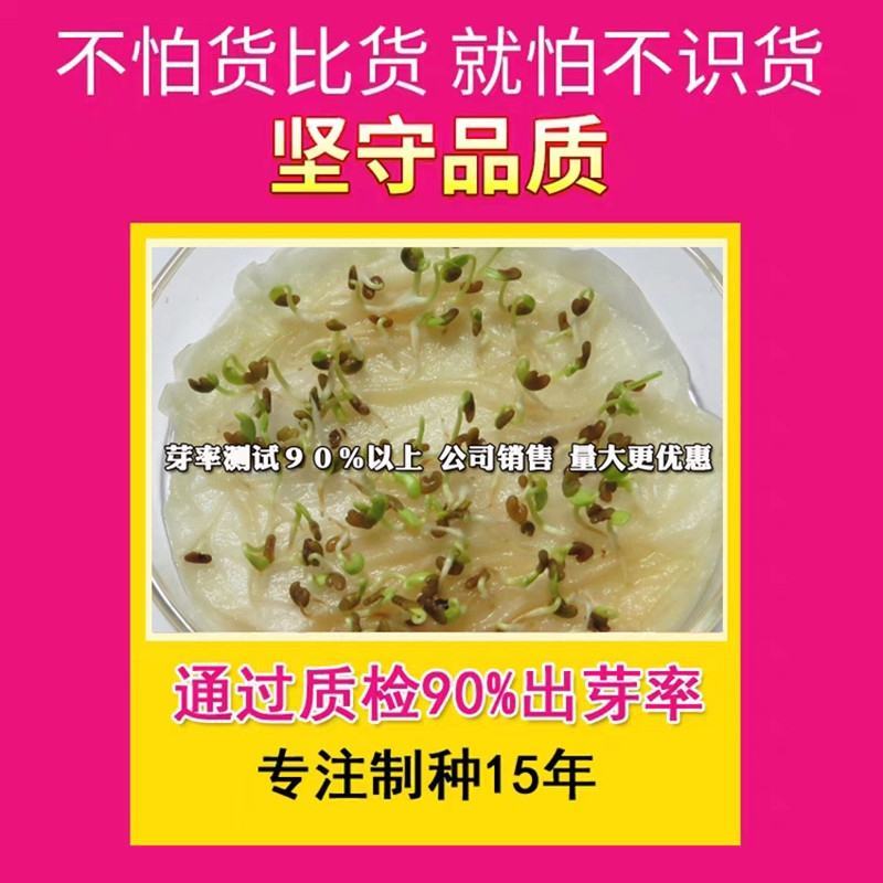 进口耐寒宽叶牧草种子多年生黑麦草种子四季养殖鸡鸭鹅牛羊鱼
